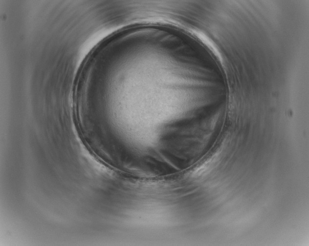 X0000088650951200706081634