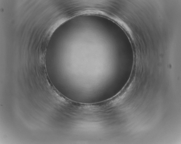 X0000088650953200706081634