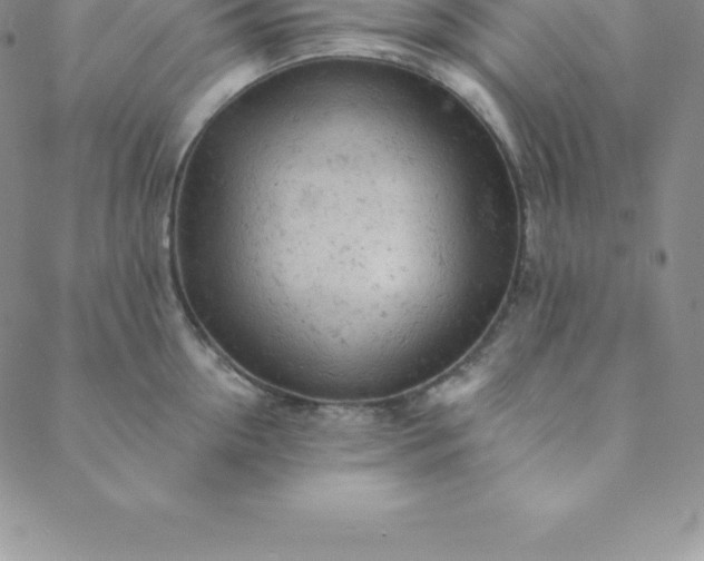 X0000088650954200706081634