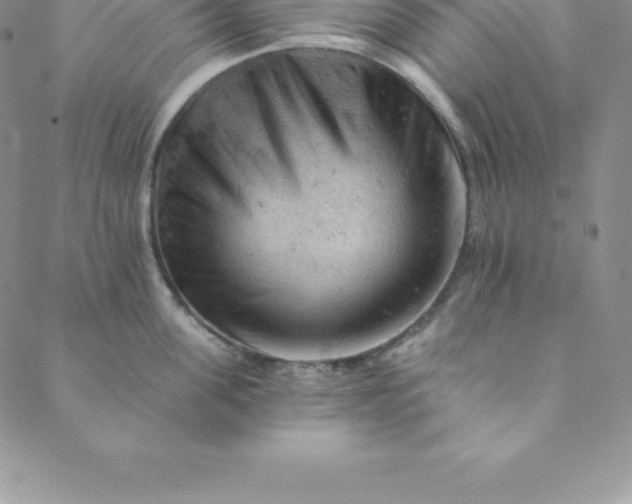 X0000088650955200706081634