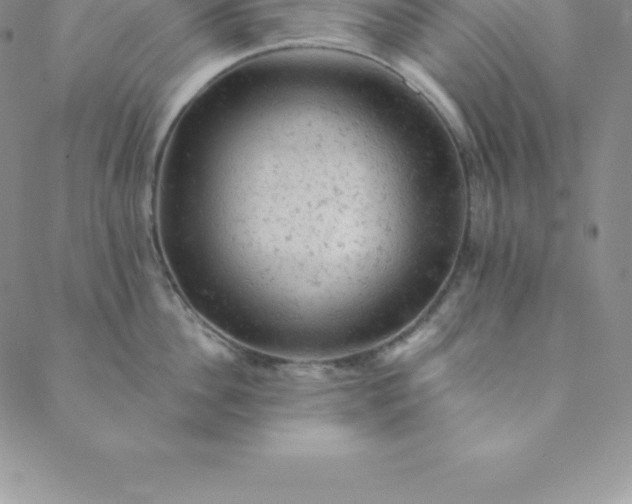 X0000088650956200706081634