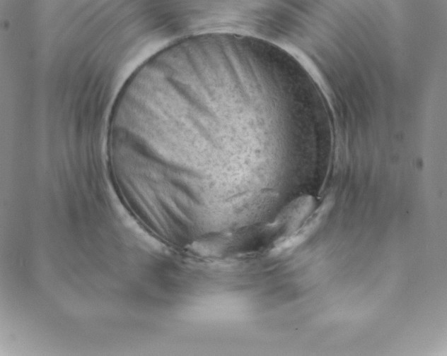 X0000088650957200706081634