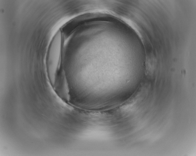 X0000088650959200706081634