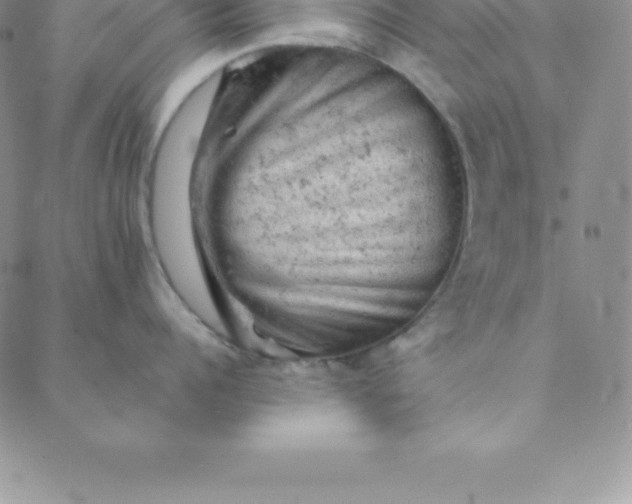 X0000088650960200706081634