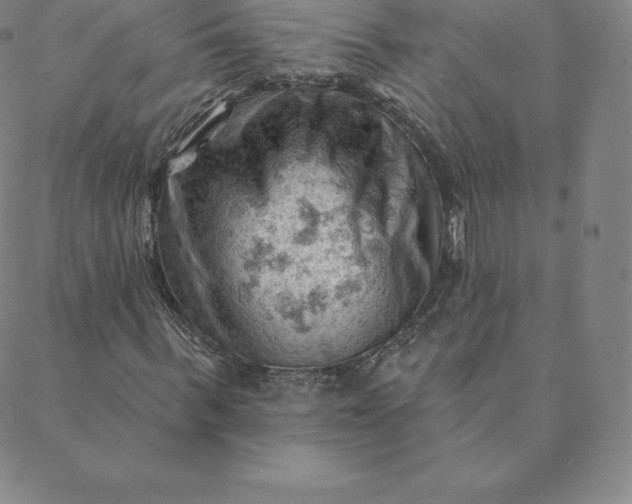 X0000088650963200706081633