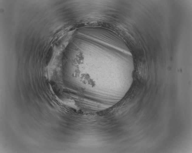 X0000088650964200706081633