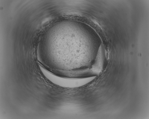 X0000088650965200706081633