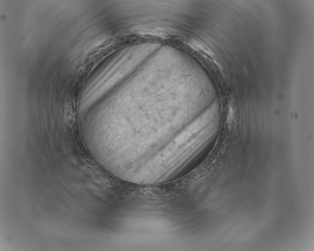 X0000088650966200706081633