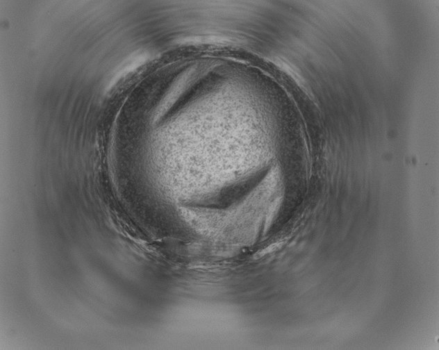 X0000088650967200706081633