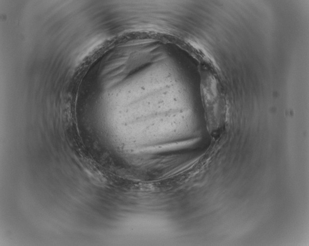 X0000088650968200706081633