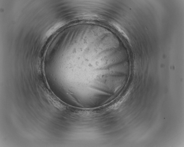 X0000088650970200706081633