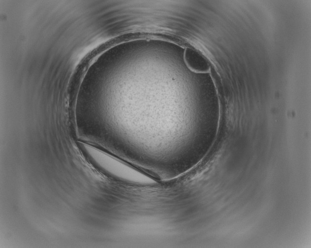 X0000088650971200706081633