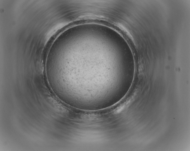 X0000088650973200706081633