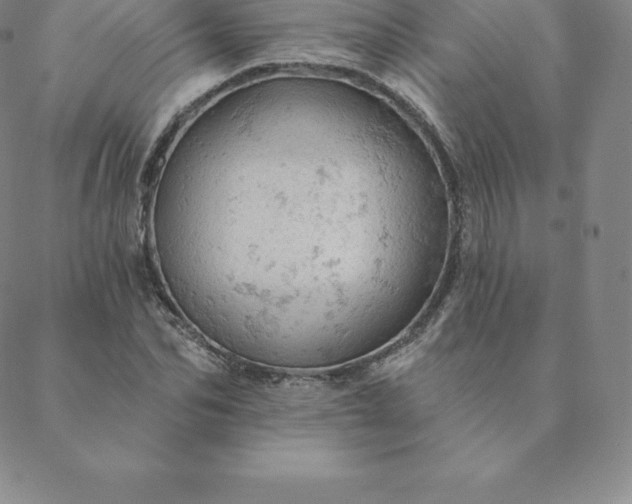 X0000088650974200706081633