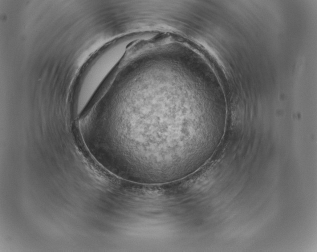 X0000088650975200706081633