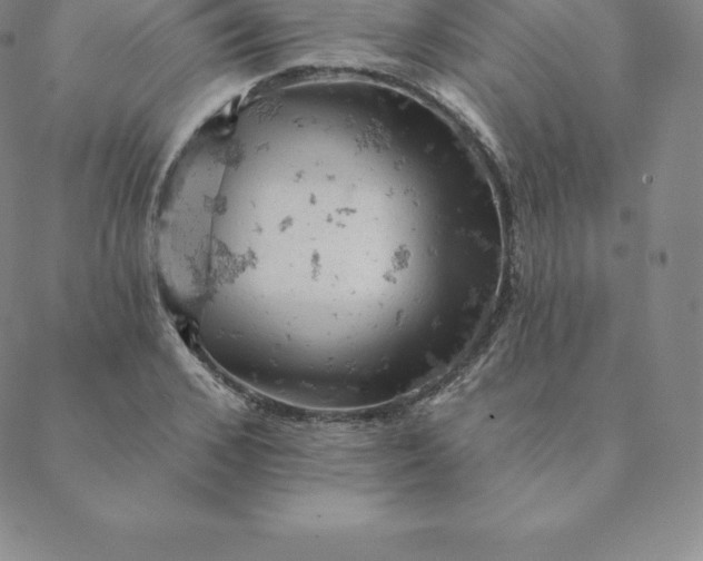 X0000088650976200706081633