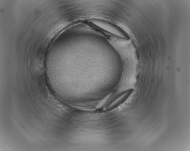 X0000088650977200706081633