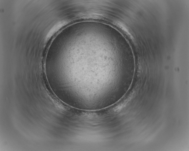 X0000088650978200706081633