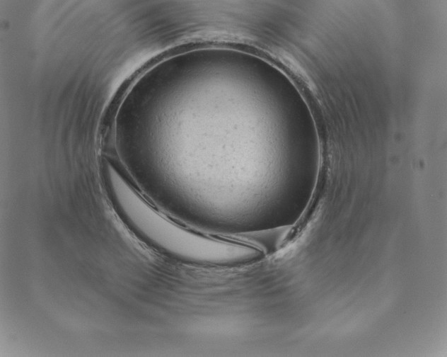 X0000088650981200706081633