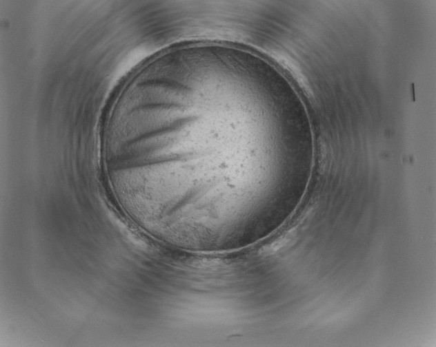 X0000088650982200706081633