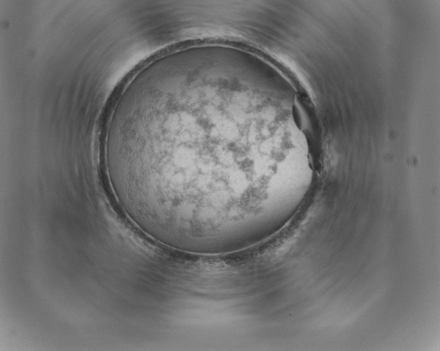 X0000088650983200706081633