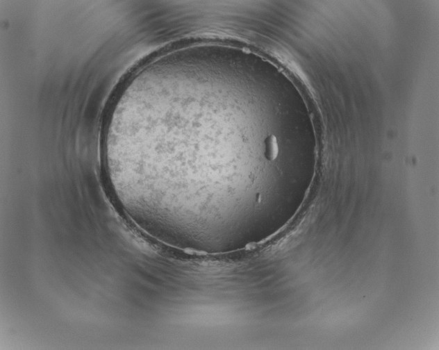 X0000088650984200706081633