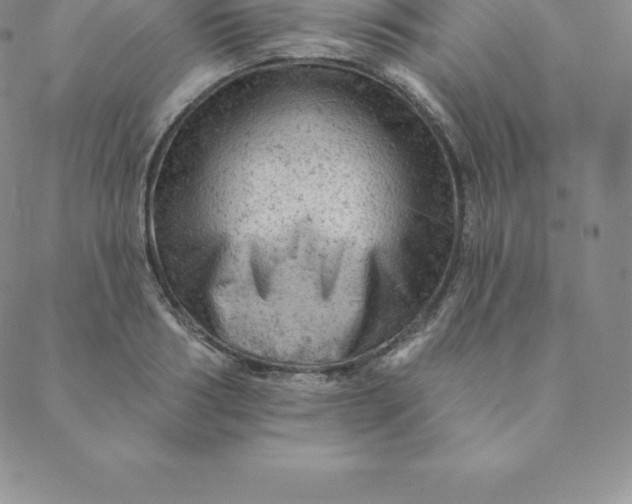 X0000088650986200706081633