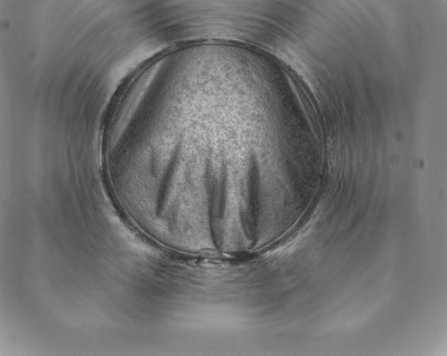 X0000088650987200706081633