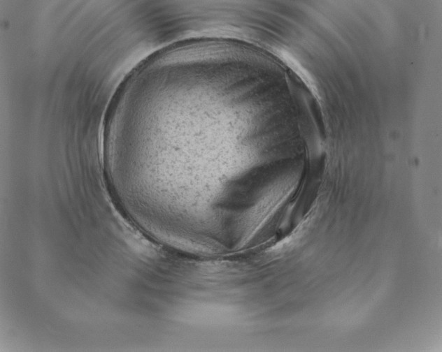 X0000088650988200706081633