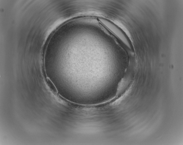 X0000088650989200706081633