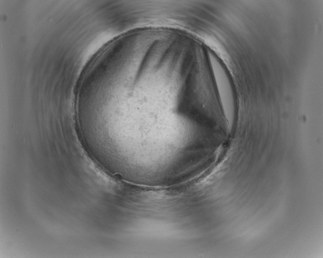 X0000088650990200706081633