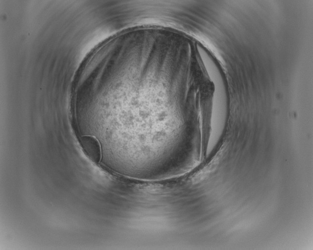 X0000088650991200706081633