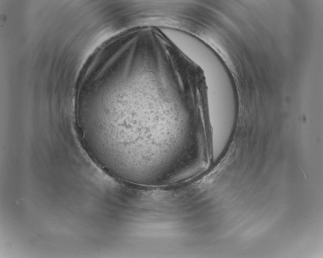 X0000088650992200706081633