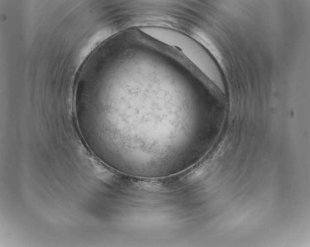 X0000088650994200706081633