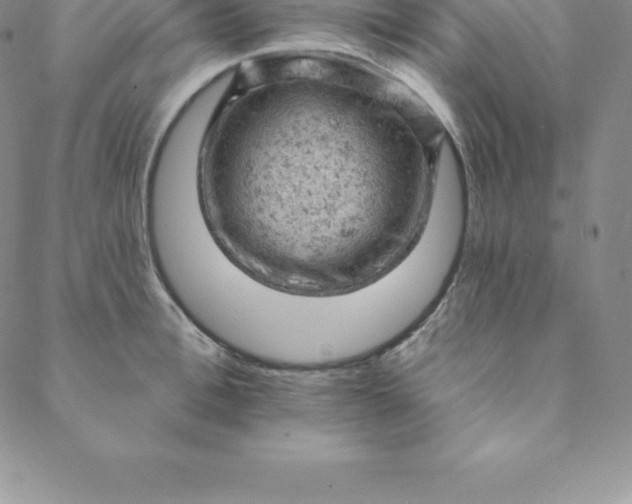 X0000088650996200706081633