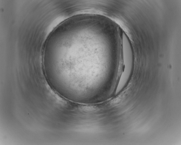 X0000088650998200706081633