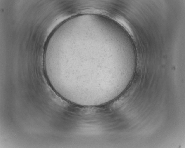 X0000088651000200706081633