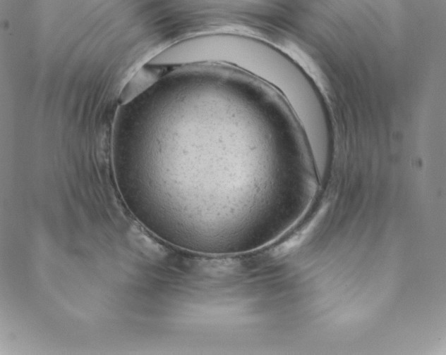 X0000088651001200706081633