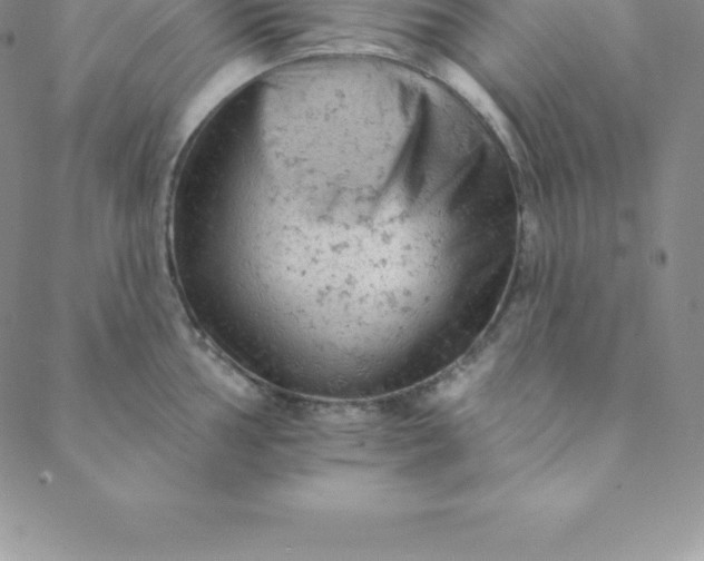 X0000088651002200706081633