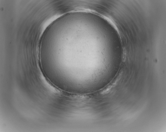 X0000088651003200706081633