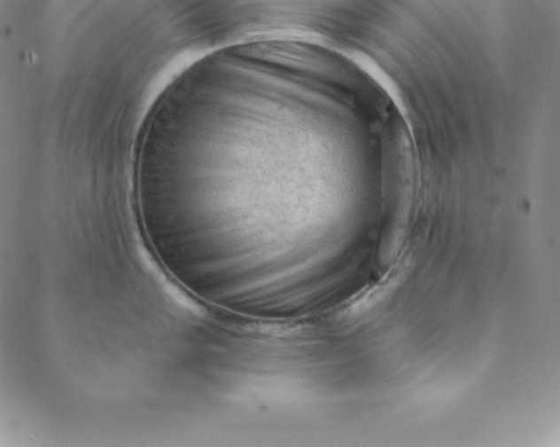 X0000088651005200706081633