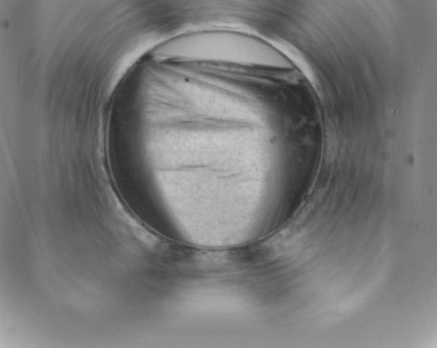 X0000088651006200706081633