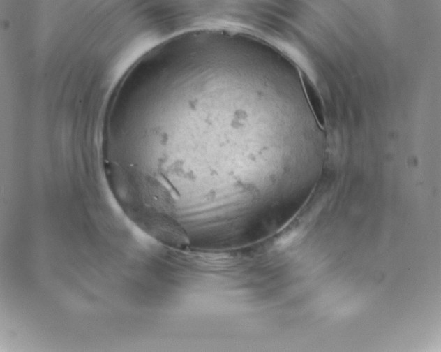 X0000088651007200706081633