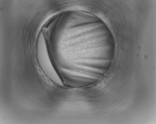 X0000088651008200706081633