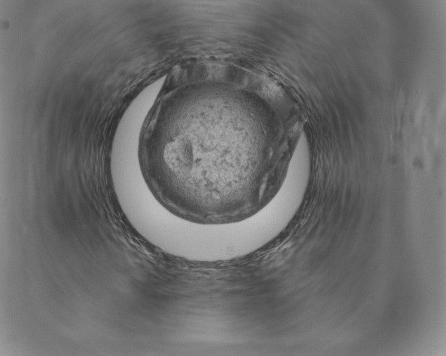 X0000088651010200706081632