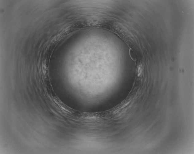 X0000088651011200706081632