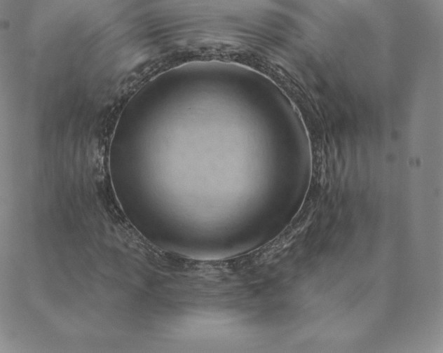 X0000088651013200706081632