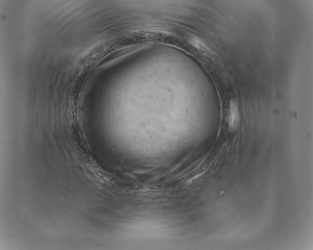 X0000088651014200706081632