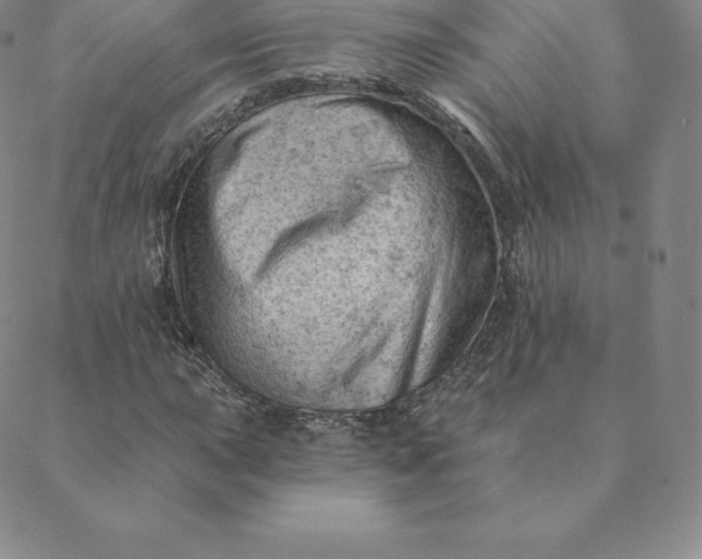 X0000088651015200706081632