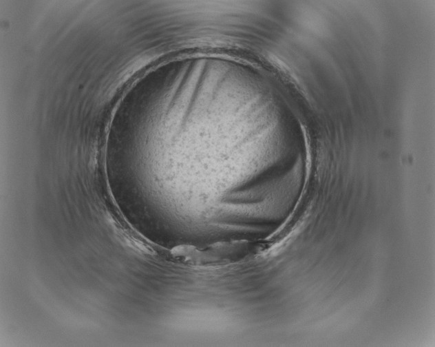 X0000088651017200706081632